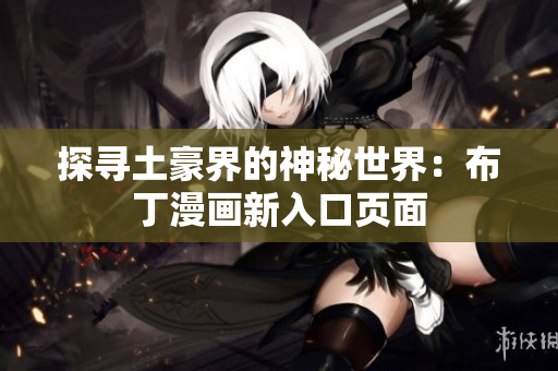 探寻土豪界的神秘世界：布丁漫画新入口页面
