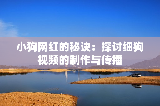 小狗网红的秘诀：探讨细狗视频的制作与传播