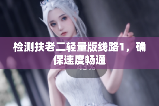 检测扶老二轻量版线路1，确保速度畅通