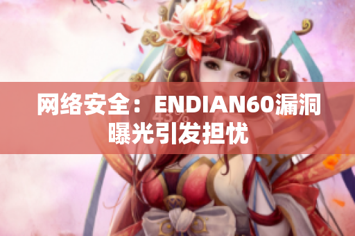 网络安全：ENDIAN60漏洞曝光引发担忧