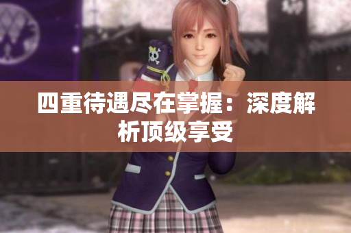 四重待遇尽在掌握：深度解析顶级享受