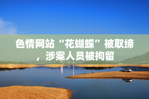 色情网站“花蝴蝶”被取缔，涉案人员被拘留