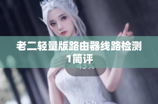 老二轻量版路由器线路检测1简评
