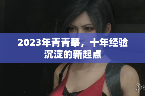2023年青青莘，十年经验沉淀的新起点