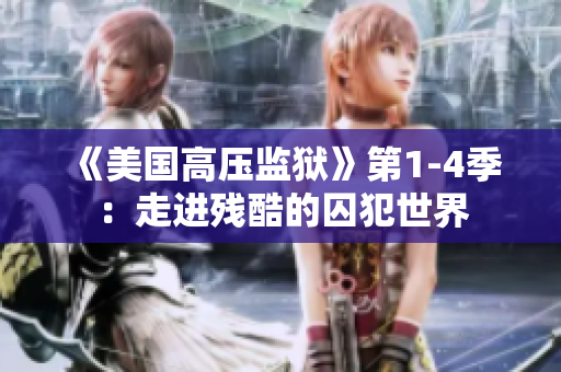 《美国高压监狱》第1-4季：走进残酷的囚犯世界