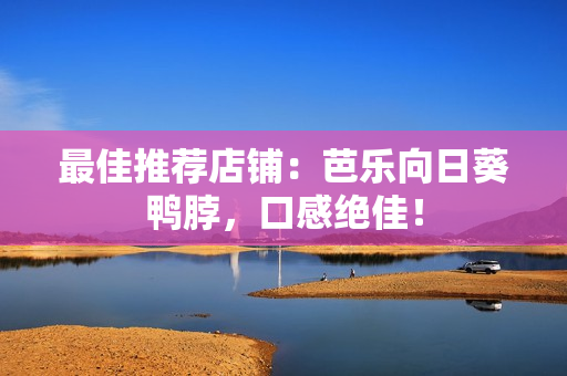 最佳推荐店铺：芭乐向日葵鸭脖，口感绝佳！