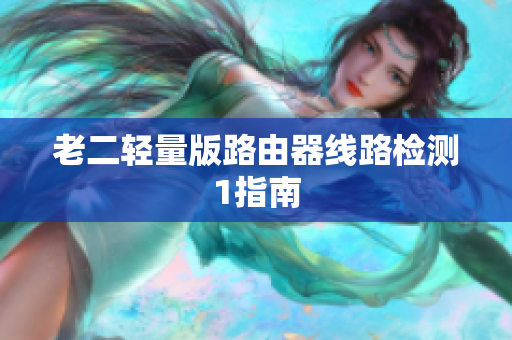 老二轻量版路由器线路检测1指南