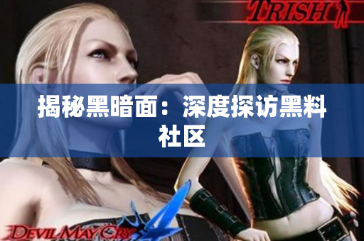 揭秘黑暗面：深度探访黑料社区