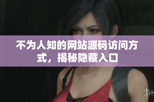 不为人知的网站源码访问方式，揭秘隐藏入口