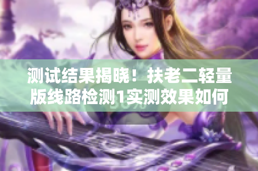 测试结果揭晓！扶老二轻量版线路检测1实测效果如何？