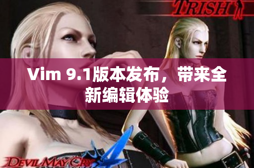 Vim 9.1版本发布，带来全新编辑体验