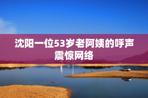 沈阳一位53岁老阿姨的呼声震惊网络