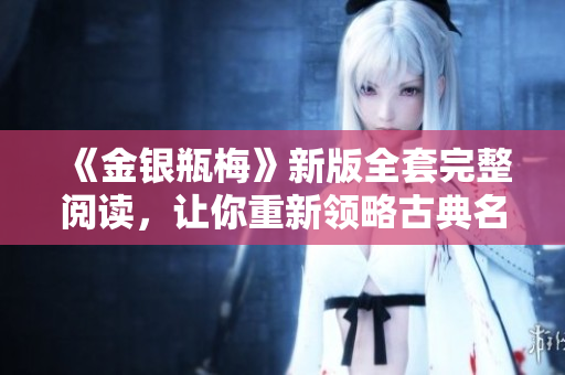 《金银瓶梅》新版全套完整阅读，让你重新领略古典名著的魅力！