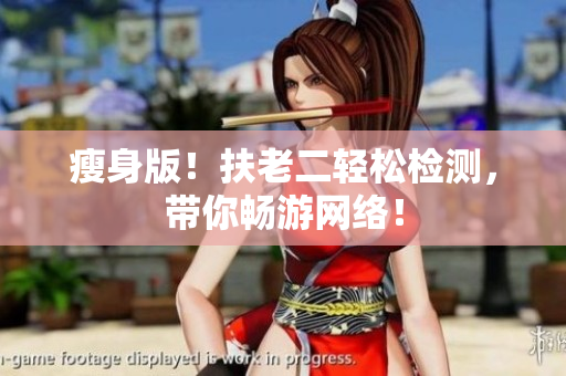 瘦身版！扶老二轻松检测，带你畅游网络！