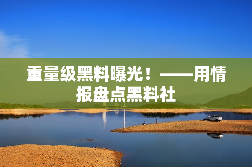 重量级黑料曝光！——用情报盘点黑料社