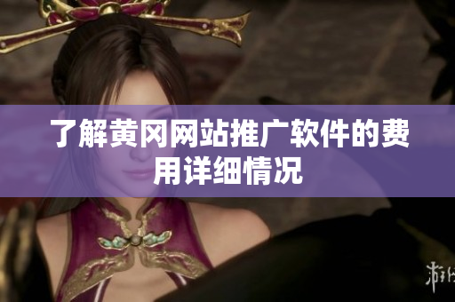 了解黄冈网站推广软件的费用详细情况