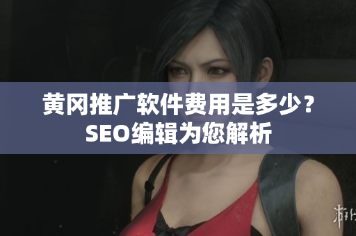 黄冈推广软件费用是多少？SEO编辑为您解析