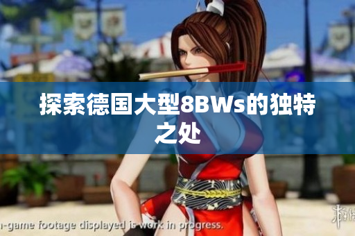探索德国大型8BWs的独特之处