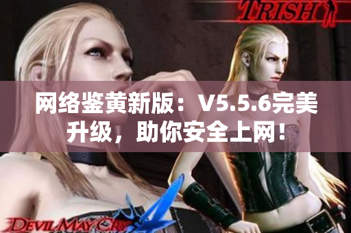 网络鉴黄新版：V5.5.6完美升级，助你安全上网！