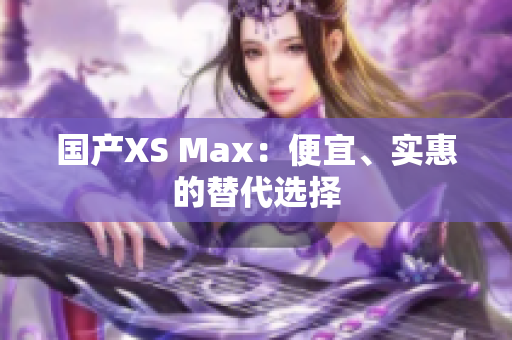 国产XS Max：便宜、实惠的替代选择