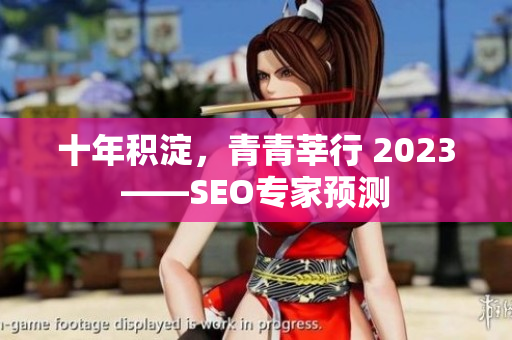 十年积淀，青青莘行 2023——SEO专家预测