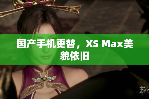 国产手机更替，XS Max美貌依旧