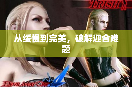 从缓慢到完美，破解迎合难题