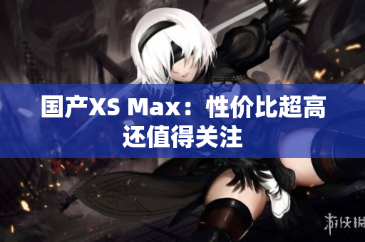 国产XS Max：性价比超高还值得关注