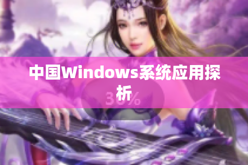中国Windows系统应用探析