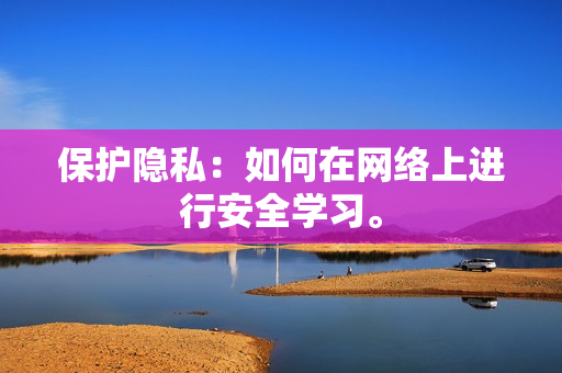 保护隐私：如何在网络上进行安全学习。