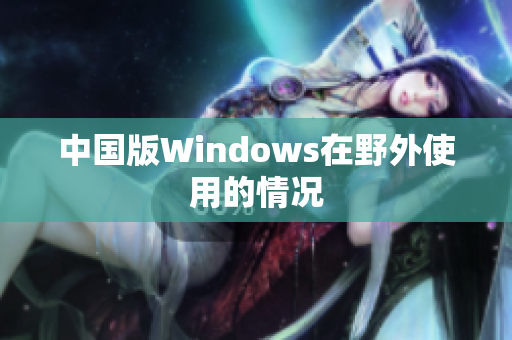 中国版Windows在野外使用的情况