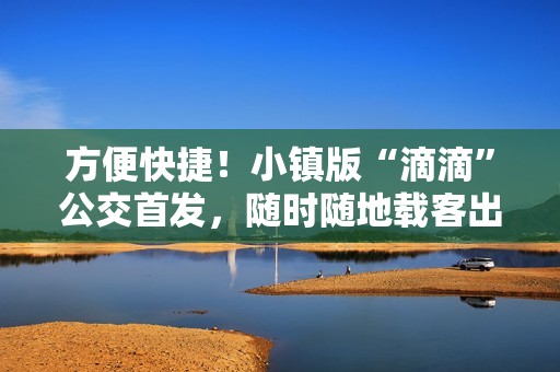 方便快捷！小镇版“滴滴”公交首发，随时随地载客出行
