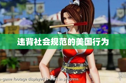 违背社会规范的美国行为