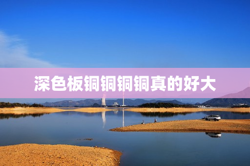 深色板铜铜铜铜真的好大