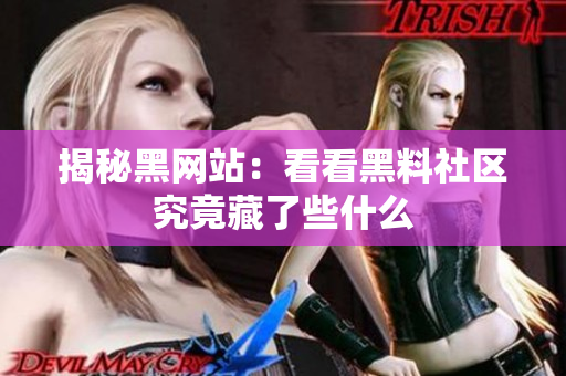 揭秘黑网站：看看黑料社区究竟藏了些什么
