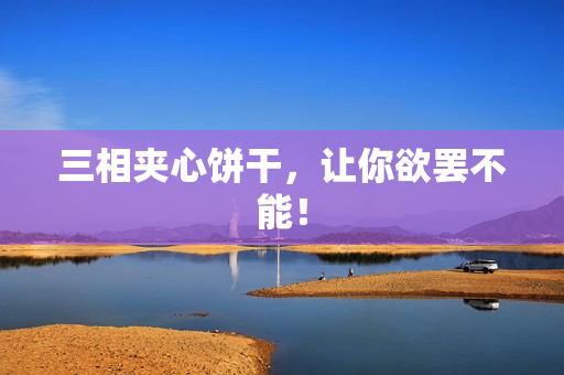 三相夹心饼干，让你欲罢不能！
