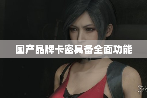 国产品牌卡密具备全面功能