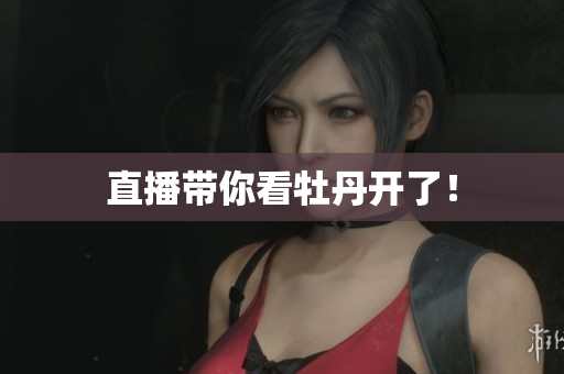 直播带你看牡丹开了！