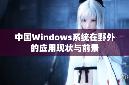 中国Windows系统在野外的应用现状与前景