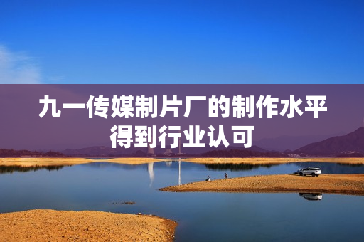 九一传媒制片厂的制作水平得到行业认可