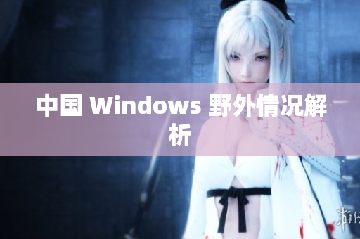 中国 Windows 野外情况解析