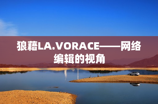 狼藉LA.VORACE——网络编辑的视角