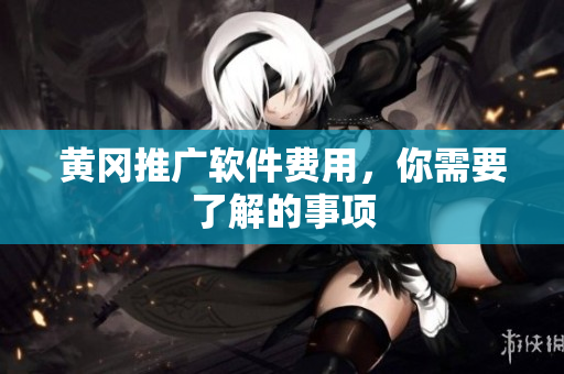 黄冈推广软件费用，你需要了解的事项