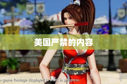 美国严禁的内容
