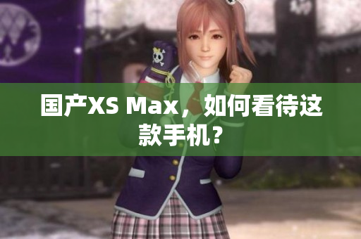 国产XS Max，如何看待这款手机？