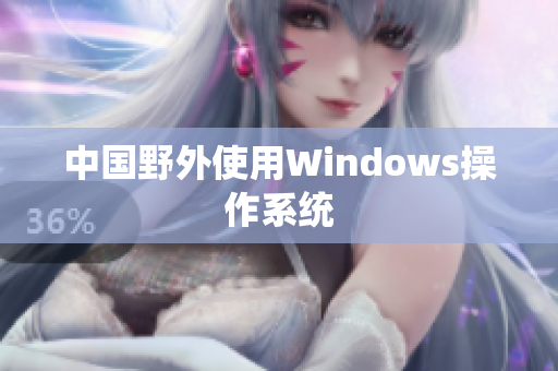 中国野外使用Windows操作系统
