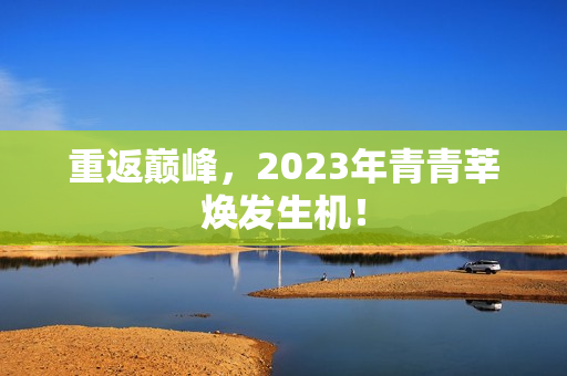 重返巅峰，2023年青青莘焕发生机！