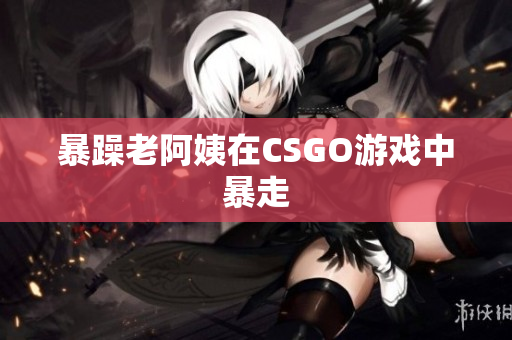 暴躁老阿姨在CSGO游戏中暴走