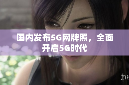 国内发布5G网牌照，全面开启5G时代