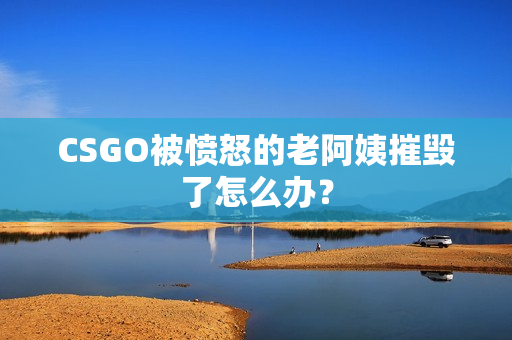 CSGO被愤怒的老阿姨摧毁了怎么办？